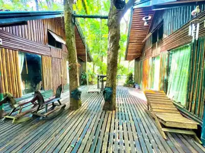 Khao Sok Tree House - 71