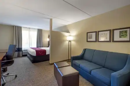 Comfort Suites Fredericksburg North - 3