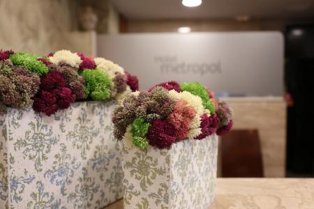 Metropol 4 Superior - 35