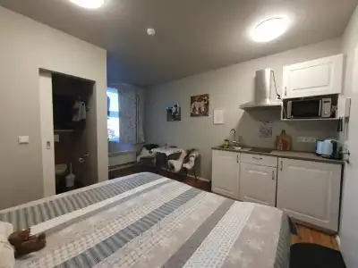 Skálatjörn Guesthouse - 65