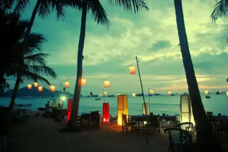 Palm Leaf Resort - 11