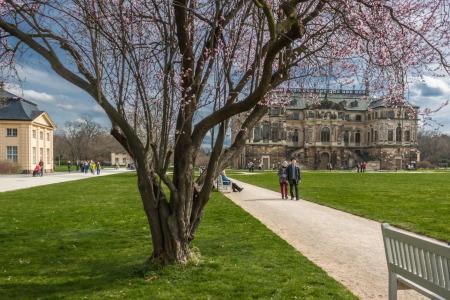 West an der Sächsischen Weinstrasse - 38