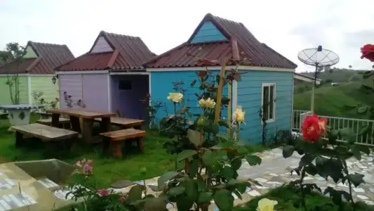 Lovely Farm - 36