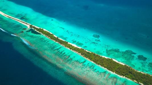 Dhiguveli Maldives - 32