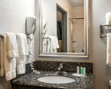 Comfort Suites Nashville Airport - BNA - 7
