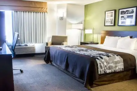 Sleep Inn & Suites Columbus - State University Area - 4