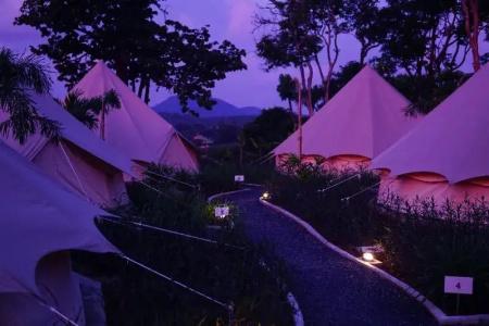 Roost Glamping - 46