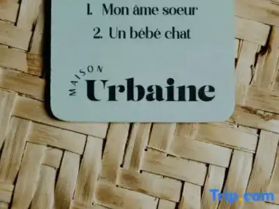 Maison urbaine - 47