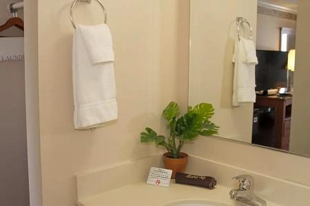 Flagship Inn and Suites - 15