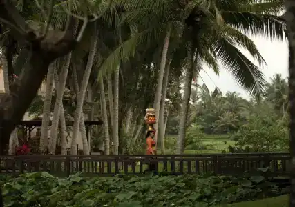 The Ubud Village Resort & Spa - 17