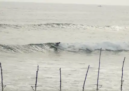 We Are Surfers - 8