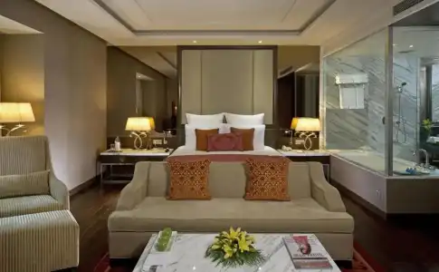 Radisson Blu Jaipur - 19