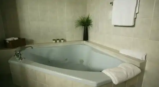 Quality Inn Presidential - 17