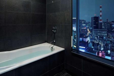 Mitsui Garden Ginza Premier - 15