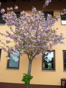 Willmersdorfer Hof - 7