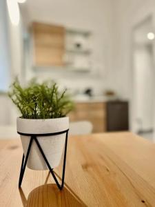 Palermo Inn Boutique - 292