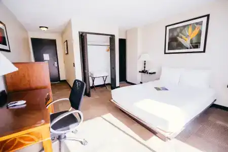 Stay Waikiki - 17