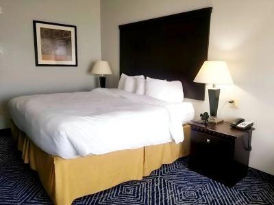 Comfort Inn & Suites Dallas Medical - Market Center - 32