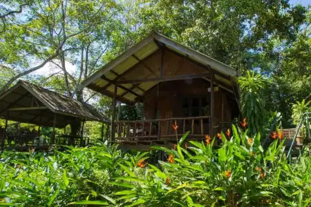 Khao Sok Riverside Cottage - 88