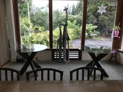 Aloha Junction Bed and Breakfast -Minutes Away from Hawaii Volcanoes National Park - 92