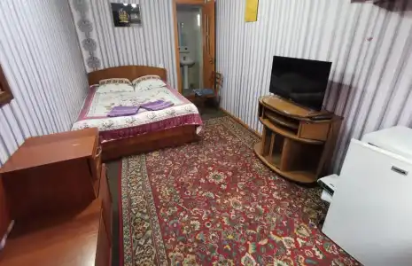 Petrovskaya Pristan 2 Guest House - 30
