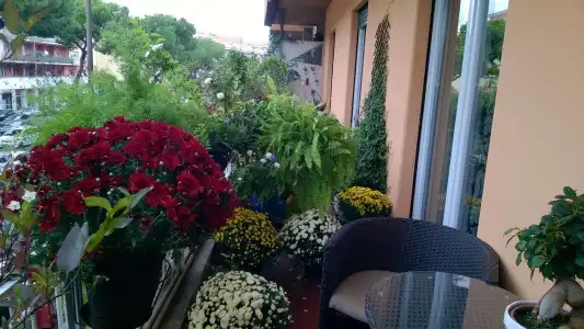 Gregorio VII Luxury Suites - 9