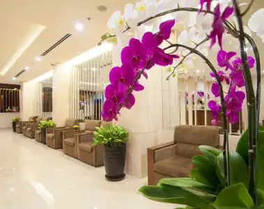 Nhat Ha Maison - 1