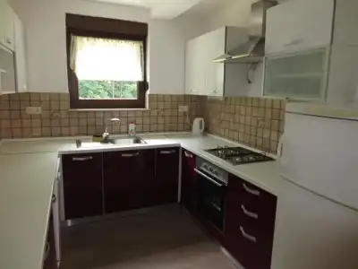 Guest House Wolf - 9