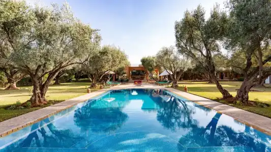 GreenLife Marrakech - 45