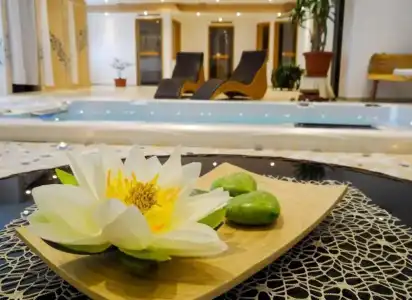 Appartement-Hotel-Allgayer - 11