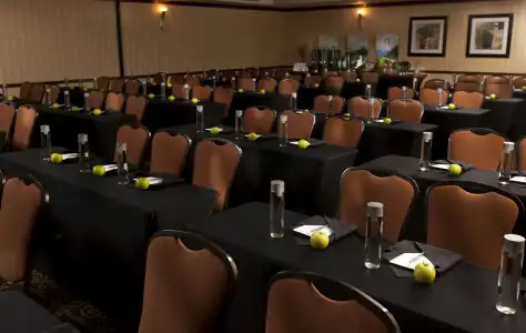 Embassy Suites Lubbock - 13