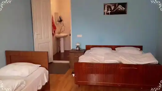 Nino Khetaguri Guest House - 22