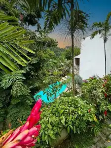 Les Jardins de Rio - 45