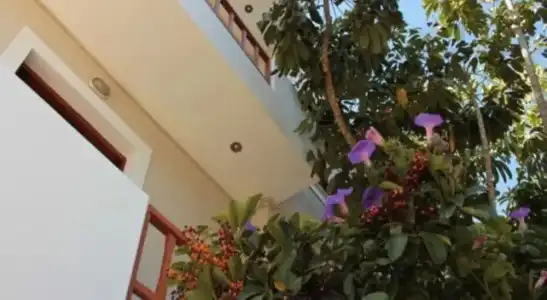 Alexandra Apartments Stalis by Estia - 0