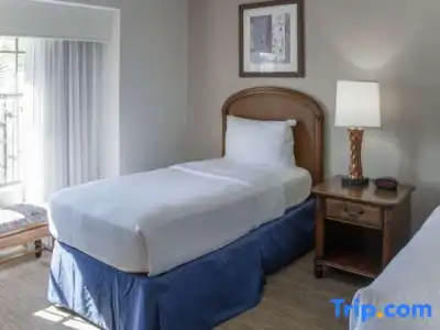 Polynesian Isles Resort By Diamond Resorts - 146
