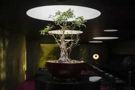 DoubleTree by Hilton Lisbon - Fontana Park - 16