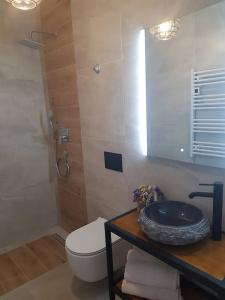 Guest house Revelin - 30