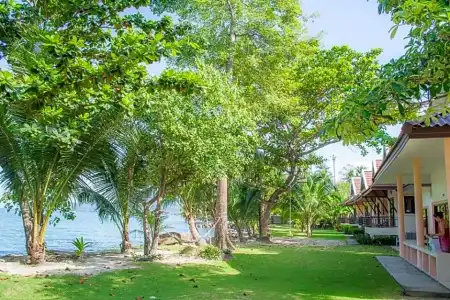 Coral Resort - 67