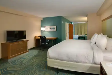 SpringHill Suites by Marriott Orlando Lake Buena Vista South - 38