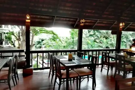 Rainforest Chiangmai - 14