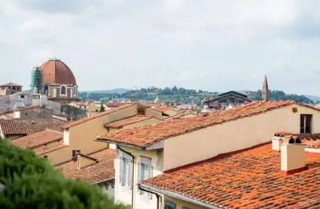 Orto De Medici - 70