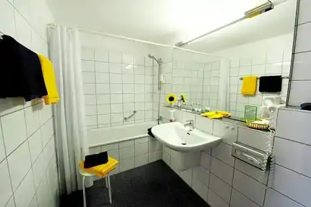 Goldener Adler - 28
