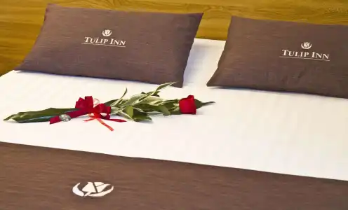 Tulip Inn Padova - 6