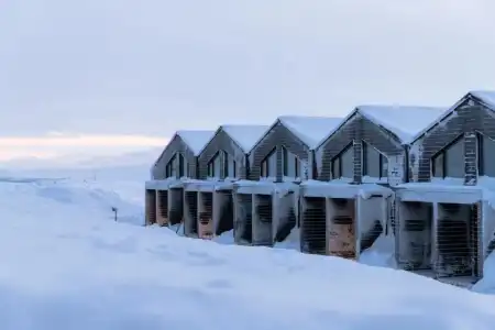Star Arctic & Activities - 0