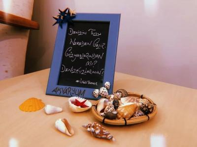 Butik Akvaryum - 11