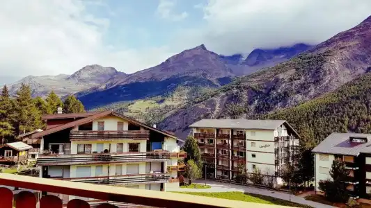 Alpenperle - 20