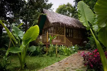 Our Jungle Camp - Eco Resort - 72