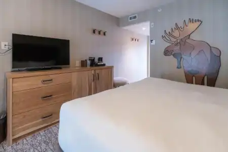 Moose And Suites - 64