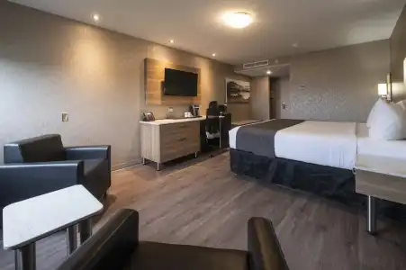 Hôtel & Suites le Dauphin Québec - 64