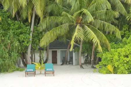 Holiday Island Resort & Spa - 8